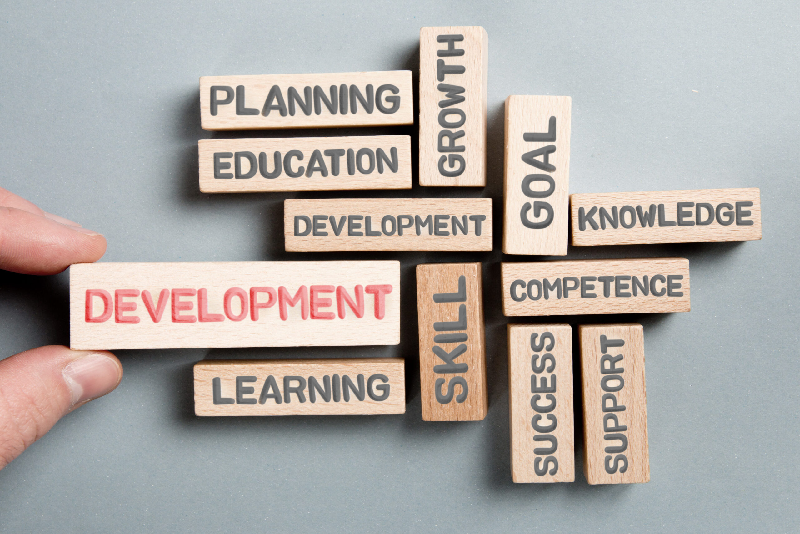 professional development goals